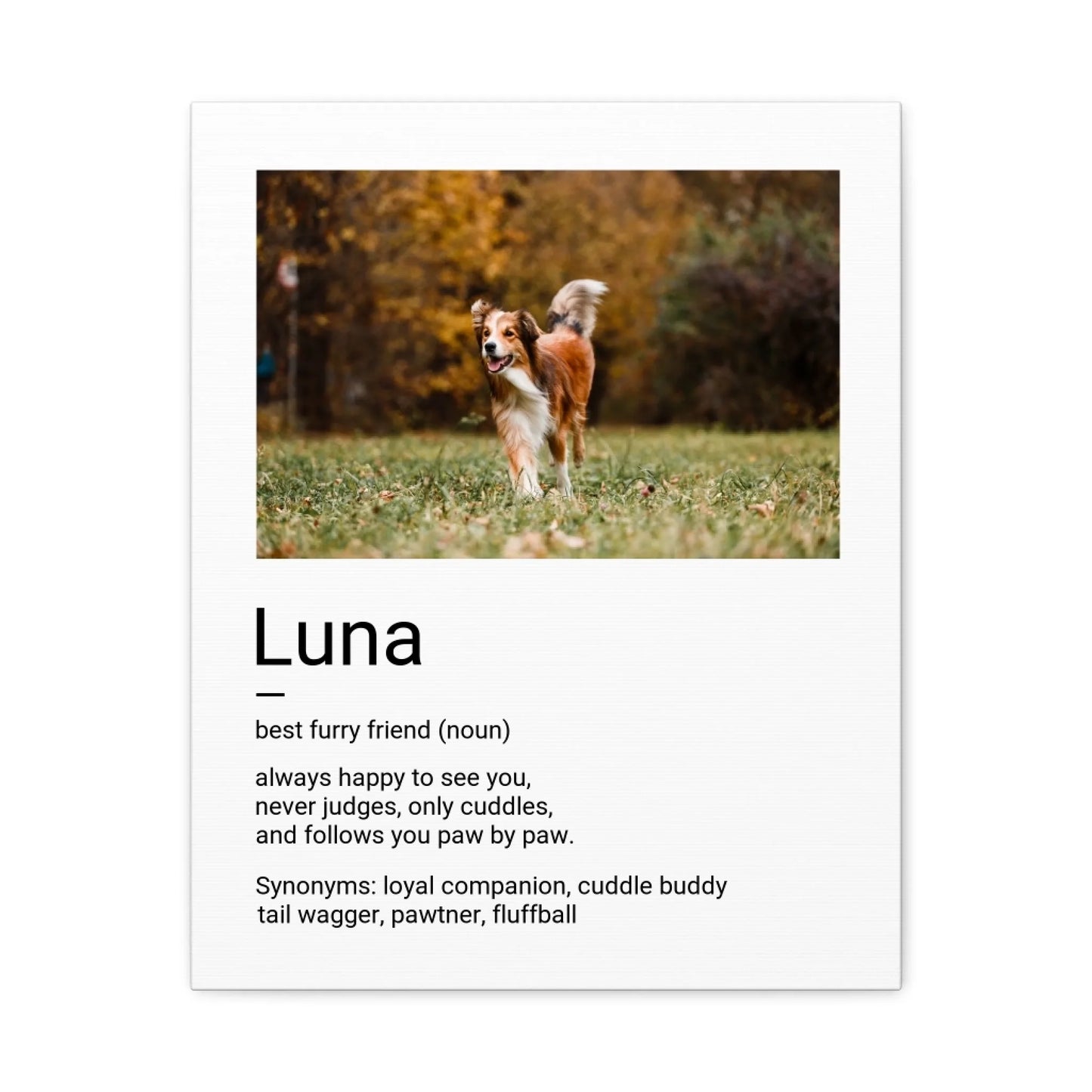 Custom Dog Canvas, Best Furry Friend Definition design, no frame